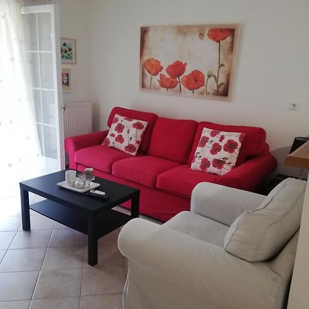 Sunny Stay Furnished Apartment In Kanoni Exterior foto